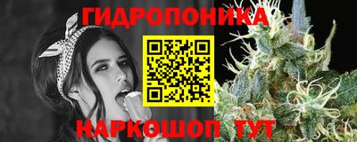 дурь Лесосибирск