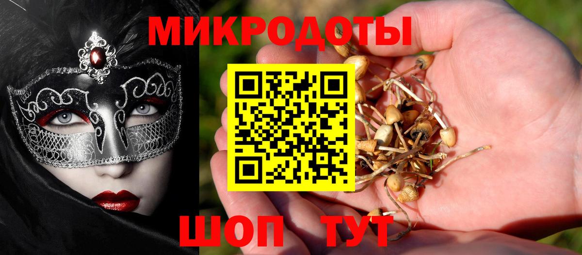 Псилоцибиновые грибы Psilocybine cubensis  Вход с VPN  Кинель 