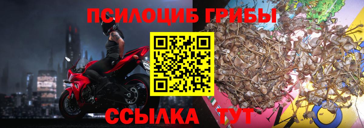 Галлюциногенные грибы Cubensis Кинель